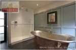 White Swan