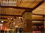 Las Iguanas